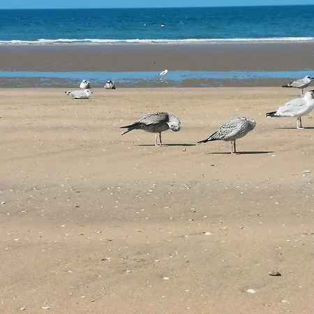 Naturogite Balneo A La Marina Deauville
